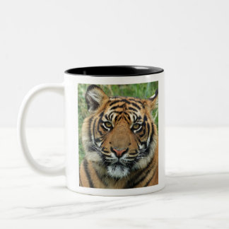 Bester Tiger Zweifarbige Tasse