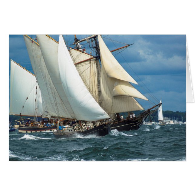 Bester Wind (Vorderseite (Horizontal))