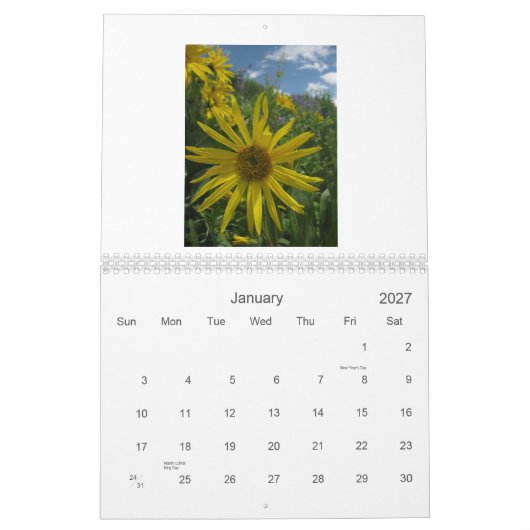 Bestes 2012 Butte-WildblumeVistas mit Haube Kalender (Jan 2027)