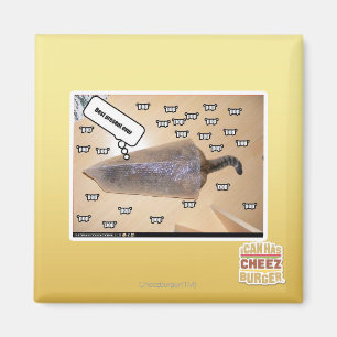 Bestes anwesendes evur magnet