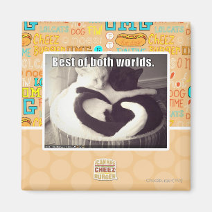 Bestes beider Welten Magnet