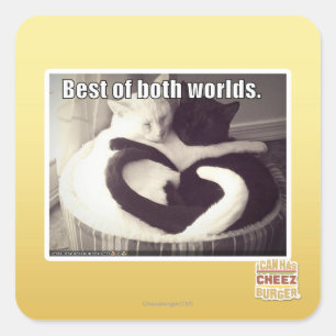 Bestes beider Welten Quadratischer Aufkleber