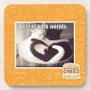 Bestes beider Welten Untersetzer
