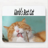 Bestes Cat-Foto Mousepad (Vorne)
