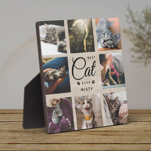 Bestes Cat je Memorial Geschenk Rustikales Foto Pa Fotoplatte