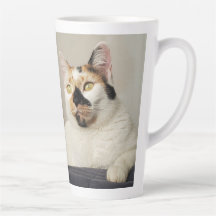 Bestes Cat Mama Foto