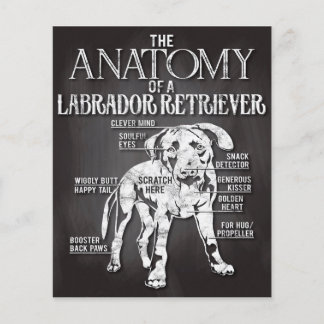 Bestes Geschenk die Anatomie eines Labrador Retrie Flyer