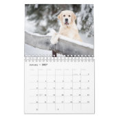 Bestes Hund-Foto Kalender (Jan 2027)