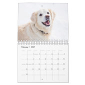 Bestes Hund-Foto Kalender (Feb 2027)