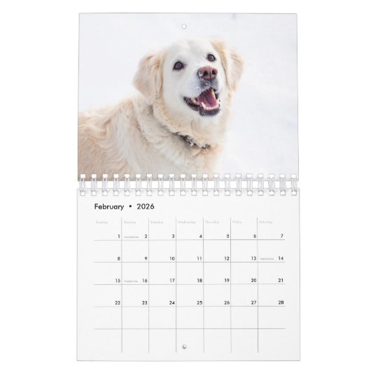 Bestes Hund-Foto Kalender (Feb 2026)