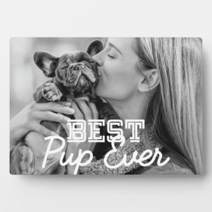 Bestes Pup-Foto für moderne Coole Haustiere Fotoplatte