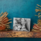 Bestes Pup-Foto für moderne Coole Haustiere Fotoplatte (Seite)