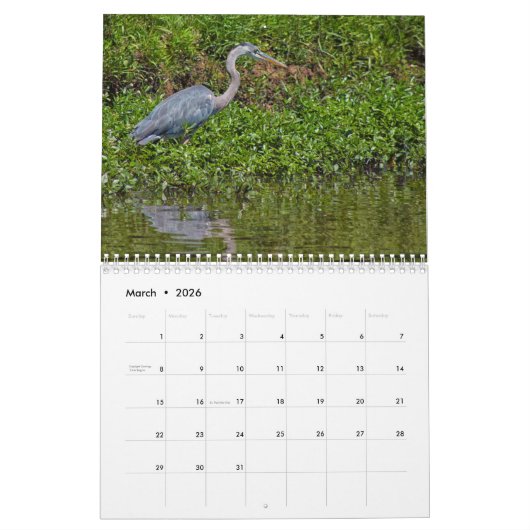 Bestes von wild lebenden Tieren 2019 Kalender (Mär 2026)