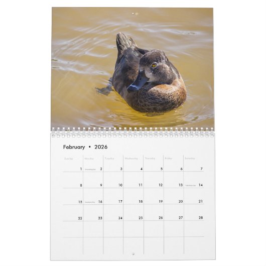 Bestes von wild lebenden Tieren 2019 Kalender (Feb 2026)