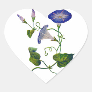bestickte Blaue Morgenglorien Herz-Aufkleber