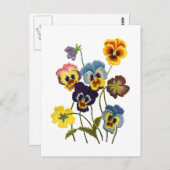 bestickte Parade der Stiefmütterchen Postkarte (Vorne/Hinten)