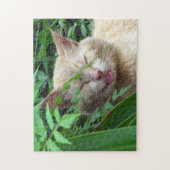 Bestie, die süßeste Stray Cat - Puzzle (Vertikal)