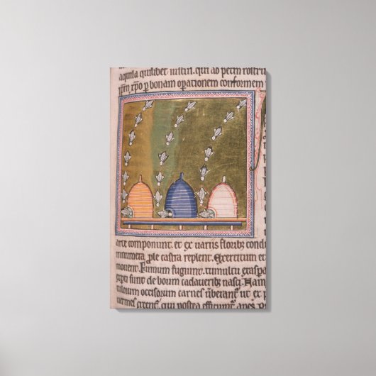 Bestien Drei gekrümmte Linien Leinwanddruck (Vorderseite)