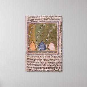 Bestien Drei gekrümmte Linien Leinwanddruck