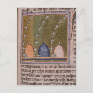Bestien Drei gekrümmte Linien Postkarte