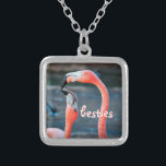 Besties Niedlich Chic Fun Pink Flamingo Friends Fo Versilberte Kette<br><div class="desc">Wer sagt, dass Flamingos mit ihrem Lieblingspal keinen Spaß haben können? Genießen Sie dieses unterhaltsame Bild, wann immer Sie diese atemberaubende, farbenfrohe Fotografie-Charme-Halskette von zwei rosa Flamingos tragen, die herumspielen. Diese Halskette ist in kleinen, mittleren und großen Größen sowie in quadratischer und kreisförmiger Form erhältlich. Sie können diese Kette in...</div>
