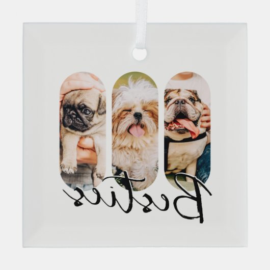 Besties Pet Simple Modern Playa Drei Foto Ornament Aus Glas (Rückseite)