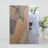 BESTIMMTE KATZE HINTER DER STEINWAND ( (Stehend Vorderseite)