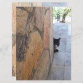 BESTIMMTE KATZE HINTER DER STEINWAND ( (Vorne/Hinten)