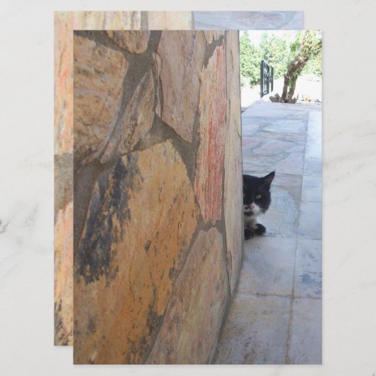 BESTIMMTE KATZE HINTER DER STEINWAND ( (Vorne/Hinten)