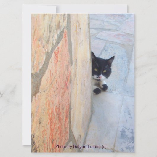 BESTIMMTE KATZE HINTER DER STEINWAND ( (Rückseite)