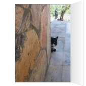 BESTIMMTE KATZE HINTER DER STEINWAND (Innen (Links))