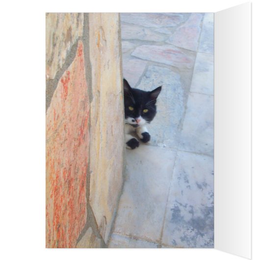 BESTIMMTE KATZE HINTER DER STEINWAND (Innen (Links))