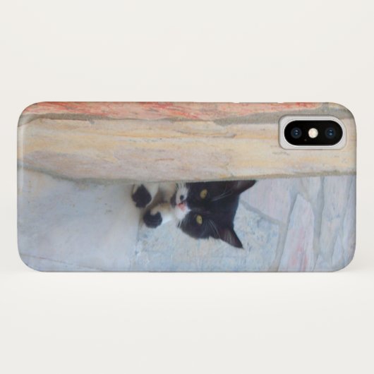 BESTIMMTE KATZE HINTER DER STEINWAND Case-Mate iPhone HÜLLE (Rückseite (Horizontal))