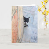 BESTIMMTE KATZE HINTER DER STEINWAND KARTE (Gelbe Blume)