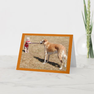 Bestimmungs Grußkarte Karte