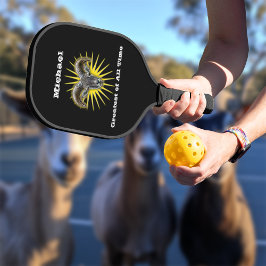 Bestste aller Zeiten Pickleball Schläger