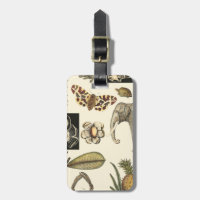 Bestückte Tiere auf Creme-Hintergrund gemalt