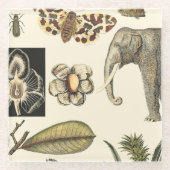 Bestückte Tiere auf Creme-Hintergrund gemalt Glasuntersetzer (Vorderseite)