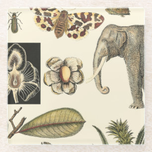 Bestückte Tiere auf Creme-Hintergrund gemalt Glasuntersetzer