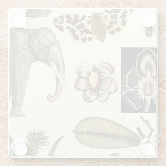 Bestückte Tiere auf Creme-Hintergrund gemalt Glasuntersetzer (Rückseite)
