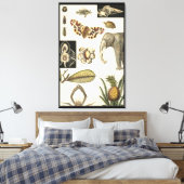 Bestückte Tiere auf Creme-Hintergrund gemalt Leinwanddruck (Insitu (Schlafzimmer))