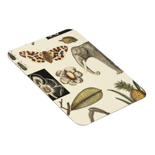 Bestückte Tiere auf Creme-Hintergrund gemalt Magnet (Rechte Seite)