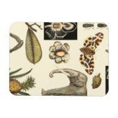 Bestückte Tiere auf Creme-Hintergrund gemalt Magnet (Horizontal)