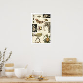 Bestückte Tiere auf Creme-Hintergrund gemalt Poster (Küche)