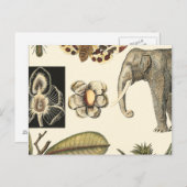 Bestückte Tiere auf Creme-Hintergrund gemalt Postkarte (Vorne/Hinten)