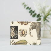 Bestückte Tiere auf Creme-Hintergrund gemalt Postkarte (Stehend Vorderseite)