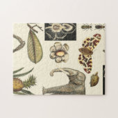 Bestückte Tiere auf Creme-Hintergrund gemalt Puzzle (Horizontal)