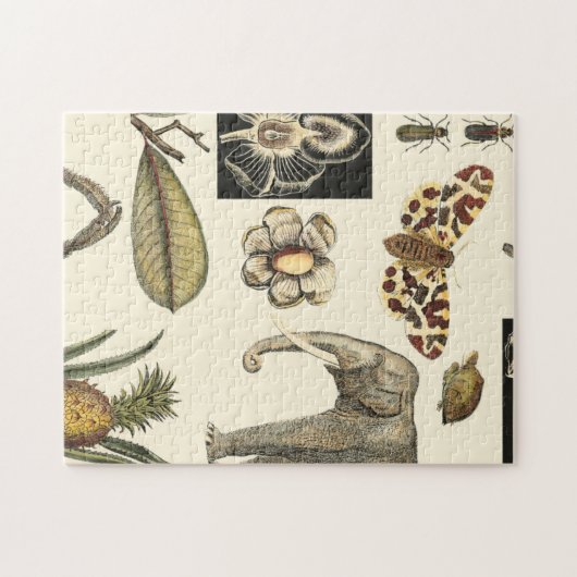 Bestückte Tiere auf Creme-Hintergrund gemalt Puzzle (Horizontal)