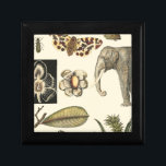 Bestückte Tiere auf Creme-Hintergrund gemalt Schmuckschachtel<br><div class="desc">Die Wunder der Natur werden in diesem Stück von Vision Studio gezeigt. Creepische Insekten mischen sich mit einem Elefanten,  Schmetterling und anderen Tierarten. Wenn Sie Liebe Natur ist dies der Druck für Sie!</div>