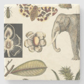 Bestückte Tiere auf Creme-Hintergrund gemalt Steinuntersetzer (Vorderseite)